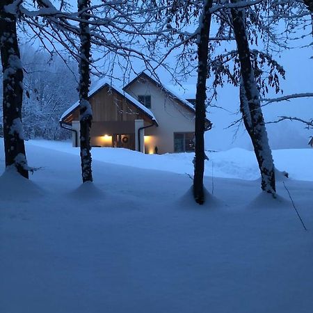 Appartement Loft Naturalpina Dolomiti Farm à Belluno Extérieur photo